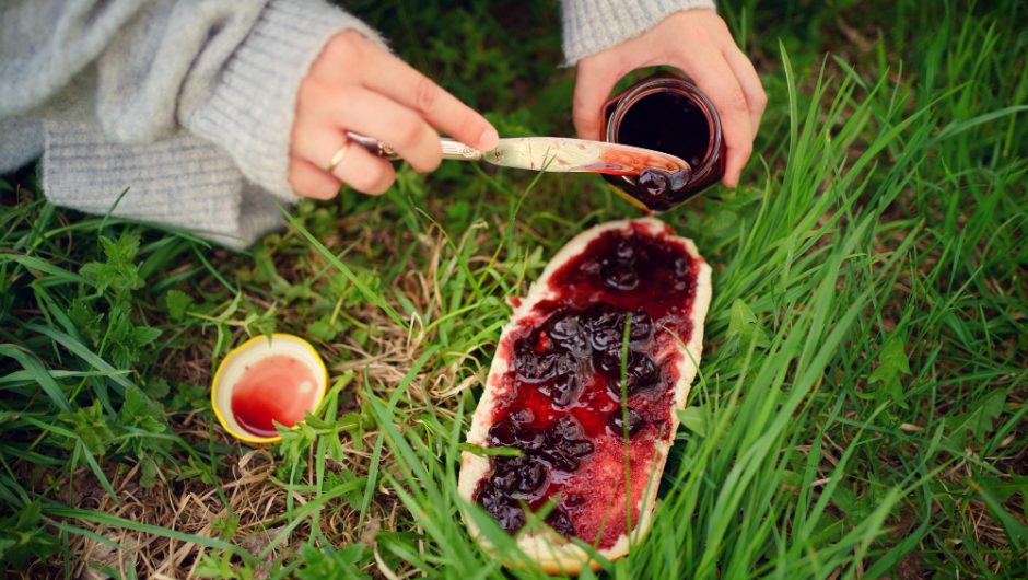 Ghid pentru cultivarea fructelor de pădure